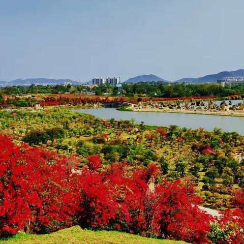 琼岛户外陵水红角岭 南湾花海 香水湾一日休闲徒