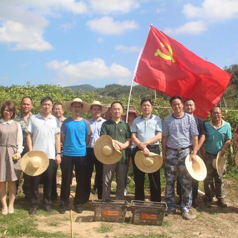 省纪委监委检查组到毛道乡考察调研并开展主题党日活动