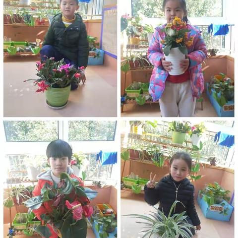 冬季自然角的讨论