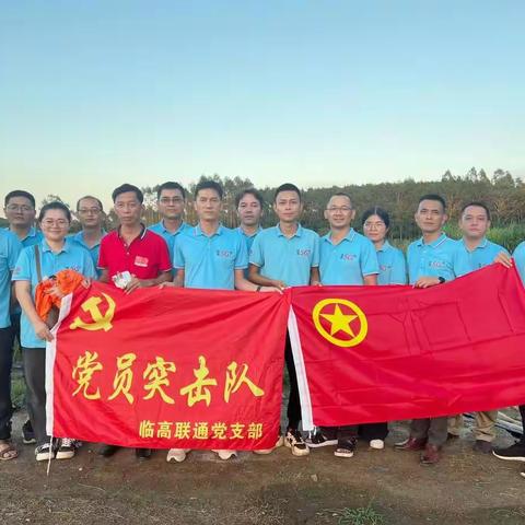 临高联通党支部前往文新村开展“除草”活动