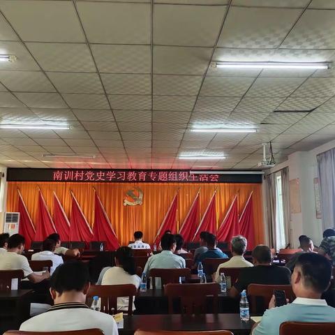 南训村开展党史学习教育专题组织生活会