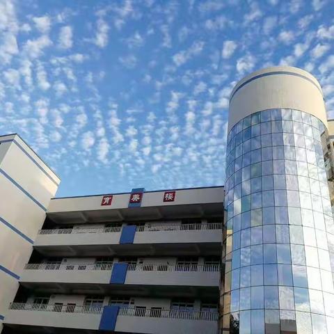 同课异构展风采，教研结合促提升