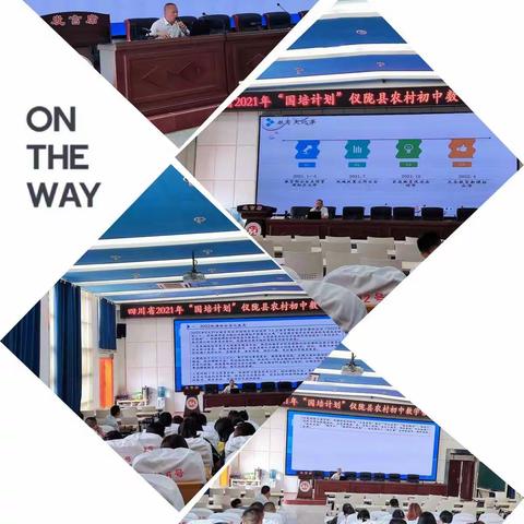 聚焦新课标，助力新课堂 ——省“国陪计划”数学教师到我校跟岗纪实