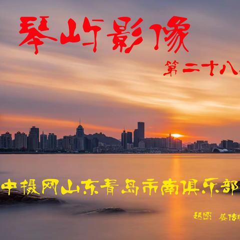 琴屿影像（28）