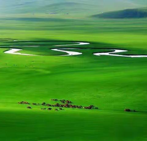 雄鸡冠上的旅行--呼伦贝尔草原简介