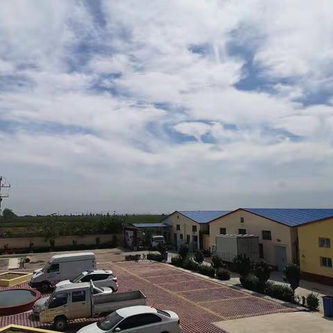 2021.6.15日《看蛋价侃天下》