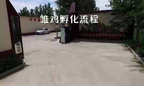 2022.7.31《看蛋价侃天下》