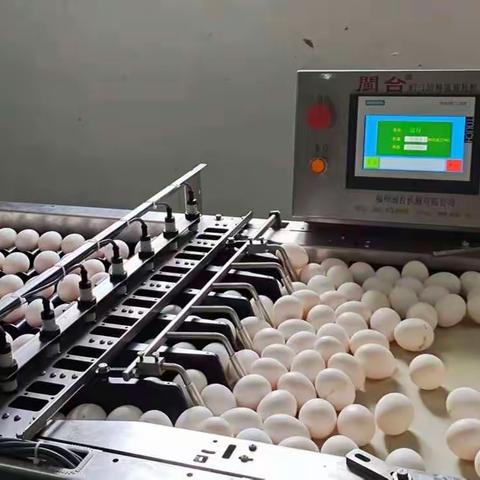 2022.5.8日《看蛋价侃天下》