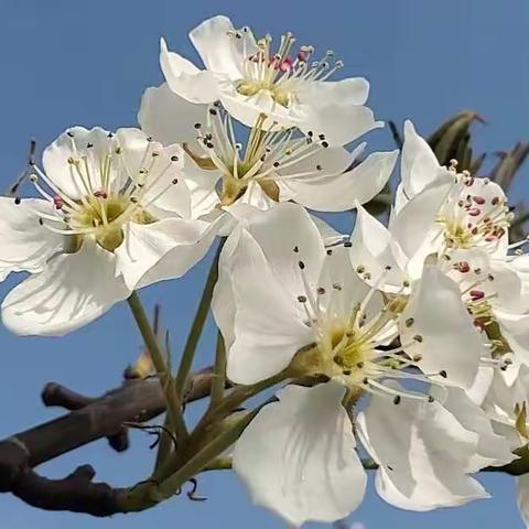 2022.5.3日《看蛋价侃天下》