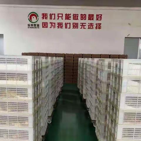 2022.6.2日《看蛋价侃天下》