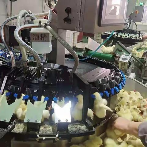 2022.5.14日《看蛋价侃天下》