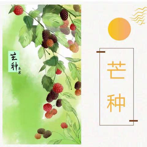 今日芒种|食宜清补 苦夏不苦