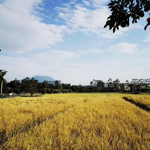 秋天，到田野撒欢去！