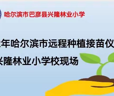 享种植之乐 品劳动之美--巴彦县兴隆林业小学远程种植活动启动仪式