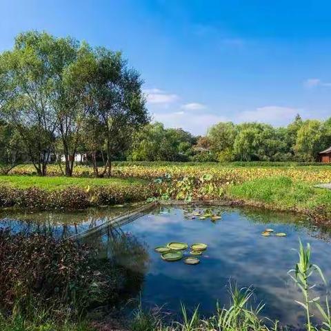 人之相处在于真，情之相守在于心