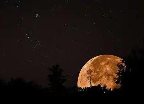 昔日情怀－白天不懂夜的黑…