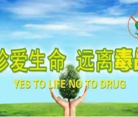 “健康人生,绿色无毒”—那隆镇清水降小学2020年禁毒活动月系列活动