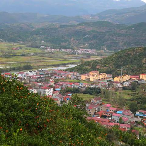 “峡口情一桔乡行”助力桔乡釆风活动