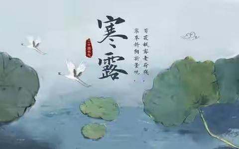 寒露至，秋意浓——合作市第五幼儿园大班二十节气寒露主题活动