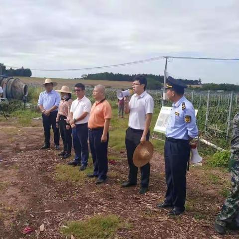 国家林草局2371-1挂牌督办森林违法图斑现场督导会