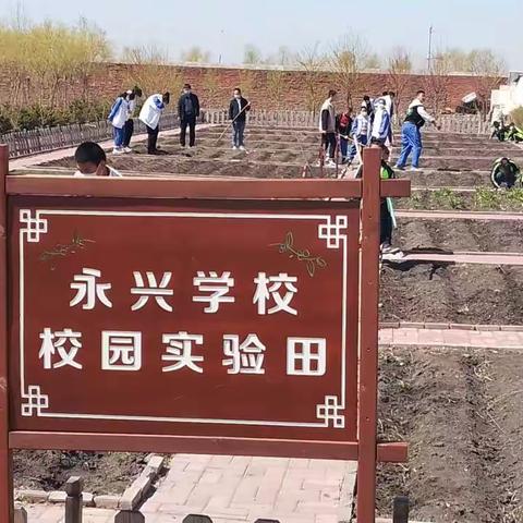 品播种之乐 享劳动之趣——永兴学校实验田，开种啦～~