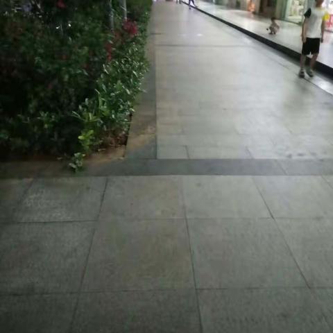 海口市政府服务中心包点单位夜巡情况