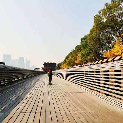 杨浦滨江【杨浦大桥——东方渔人码头】