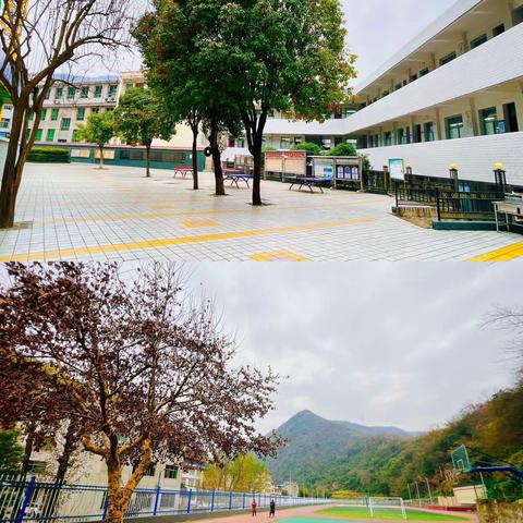 旬阳市赤岩初级中学第十六周值周纪实