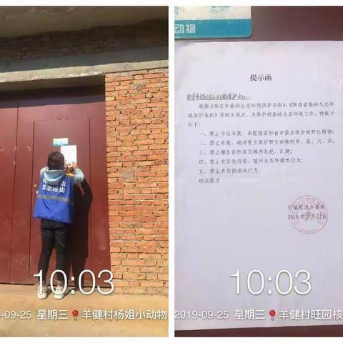 引镇街道秦岭专职网格员工作纪实