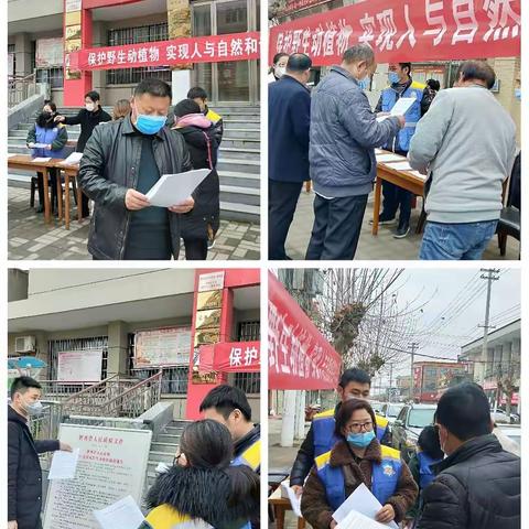 引镇街道举办“3月3日世界野生动植物日”宣传活动
