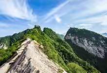 清理垃圾 整治环境 网格员在行动