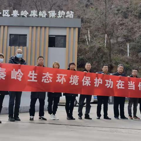 大峪国有生态林场，用行动守护绿水青山