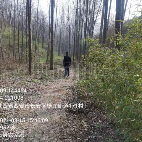 保护绿水青山，建设品质秦岭