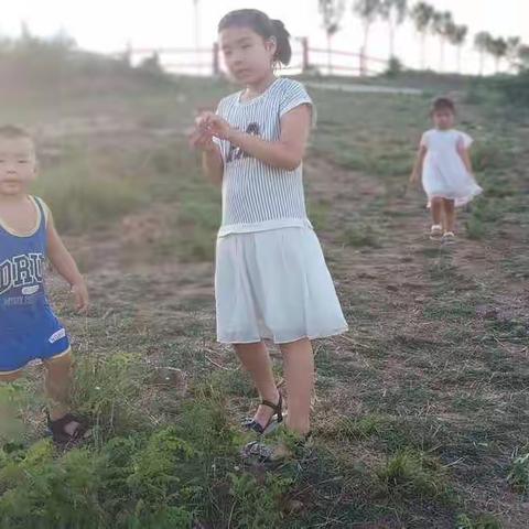 二六班徐子嫣的缤纷暑假