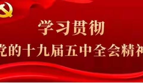 【学习贯彻党的十九届五中全会精神】――雅星镇中心学校党支部