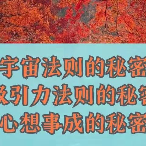 吸引力法则：所有遇见，都有因果