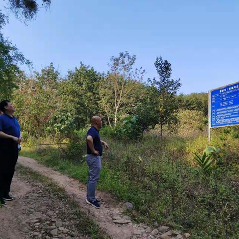 市人大常委会副主任侯启江深入番亲河开展巡河工作