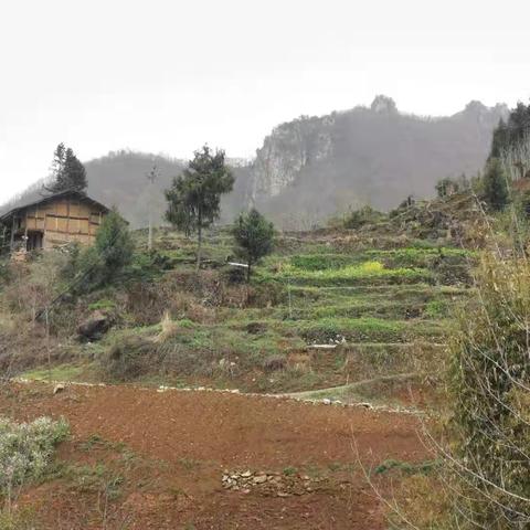桃花流水飘然去  红岩夕照燕归来