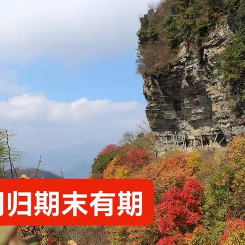 君问归期未有期