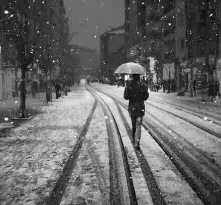 冬天是苍白的，但也是温暖的。