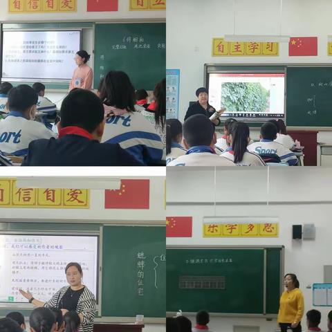 摸底明教情，指导促提升 ——文苑街小学期初听课活动