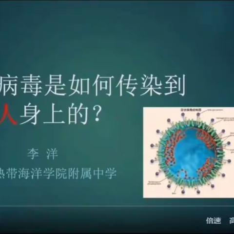 《新冠病毒是如何传染到人身上的》网课健康教育视频观看简报一南圣中心学校