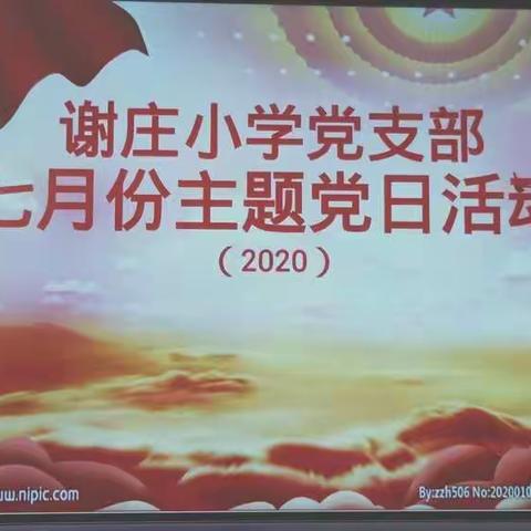 谢庄小学党支部七月份主题党日活动