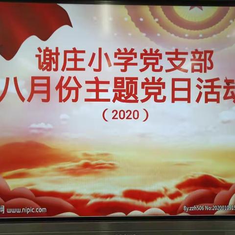 谢庄小学党支部八月份主题党日活动