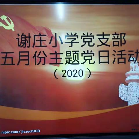 谢庄小学党支部5月份主题党日活动