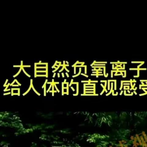 「文」摆脱亚健康，离不开负氧离子。