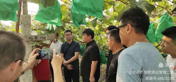 玫瑰香葡萄种植基地