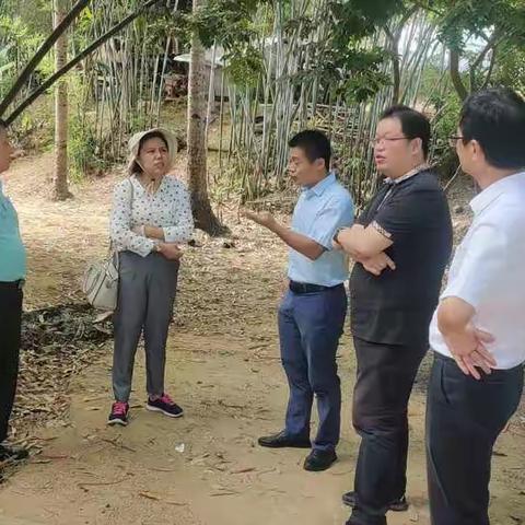 市农业农村局赴育才生态区开展美丽乡村建设专项督导调研