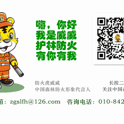 ［太平二幼］森林火灾宣传（四）森林火灾案例，大家引以为戒