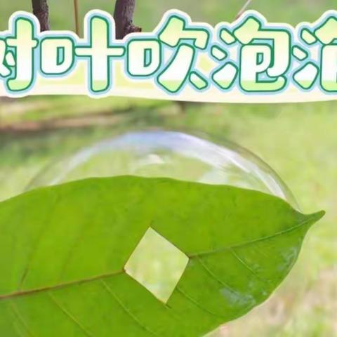 自然科学教育 | 树叶吹泡泡-中三班